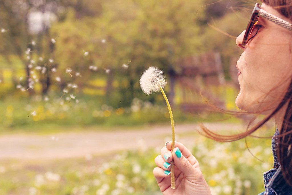 Dandelion Wishes