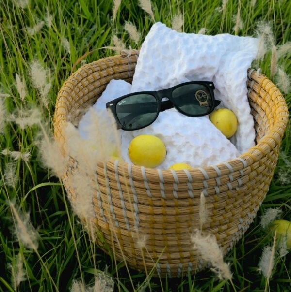 Veridian Eyewear - Image 4