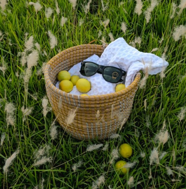 Veridian Eyewear - Image 3