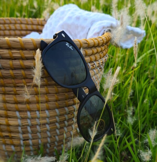 Veridian Eyewear